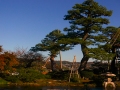 The-architecture-of-Nature_Kanazawa-3